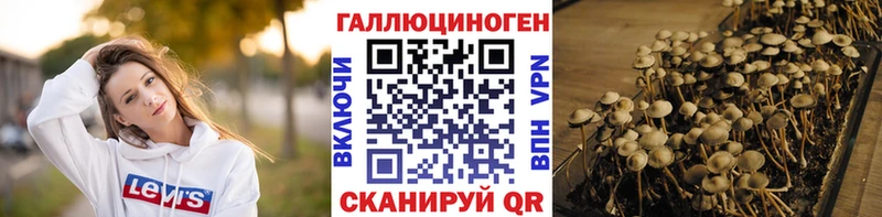 Галлюциногенные грибы ЛСД  Шуя 